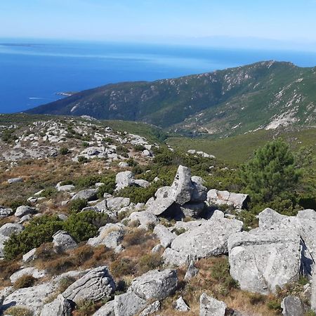 Casa Vacanze Il Pastore Tedesco Portoferraio Esterno foto