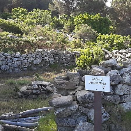Casa Vacanze Il Pastore Tedesco Portoferraio Esterno foto