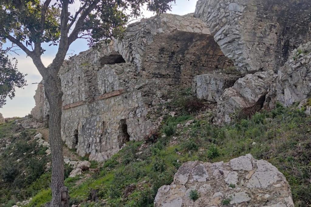 Casa Vacanze Il Pastore Tedesco Portoferraio Esterno foto