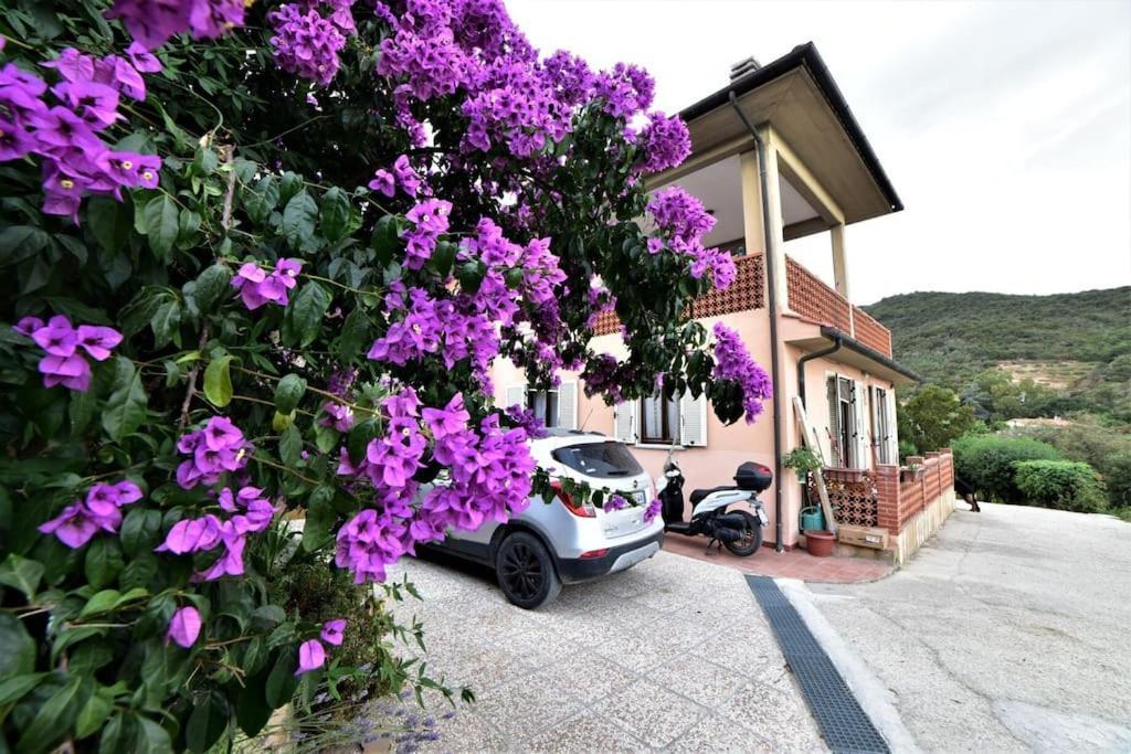 Casa Vacanze Il Pastore Tedesco Portoferraio Esterno foto