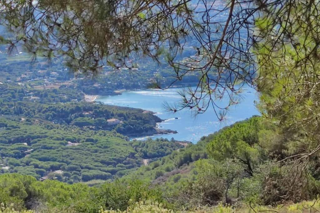 Casa Vacanze Il Pastore Tedesco Portoferraio Esterno foto