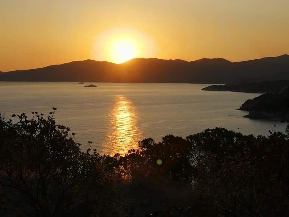 Casa Vacanze Il Pastore Tedesco Portoferraio Esterno foto