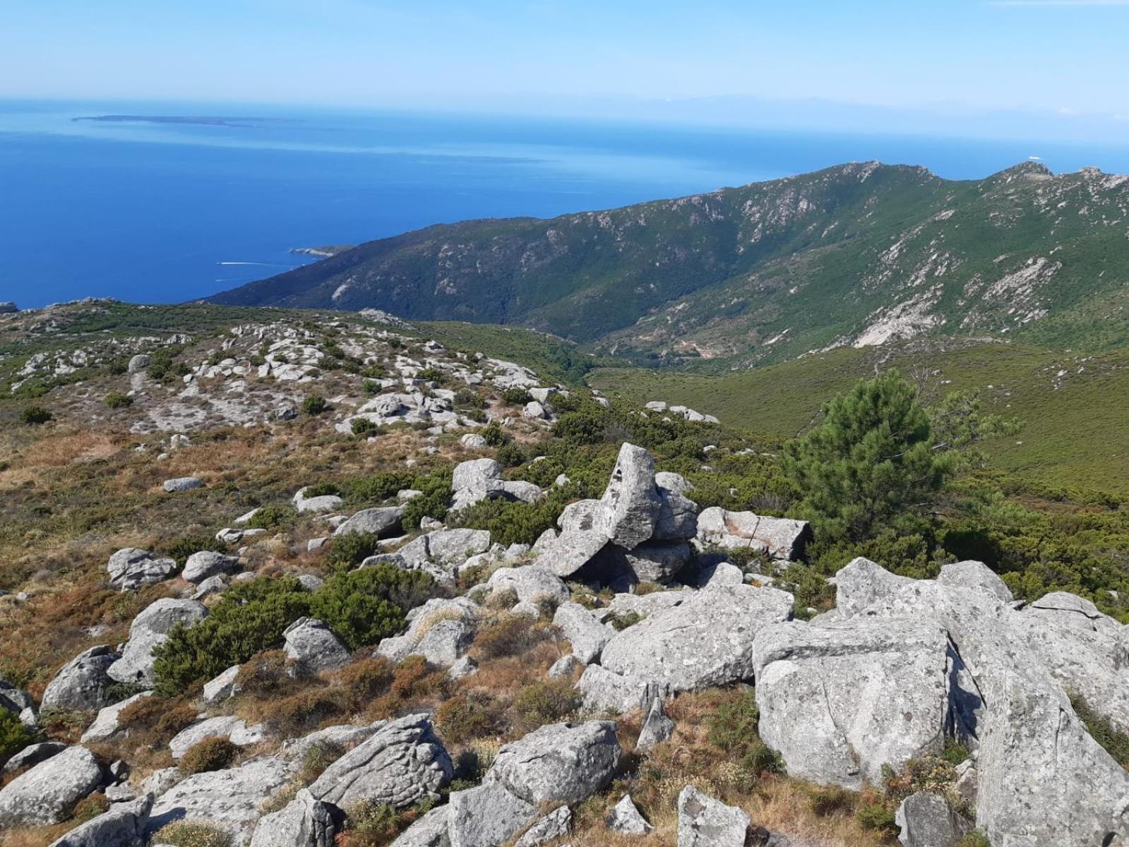 Casa Vacanze Il Pastore Tedesco Portoferraio Esterno foto