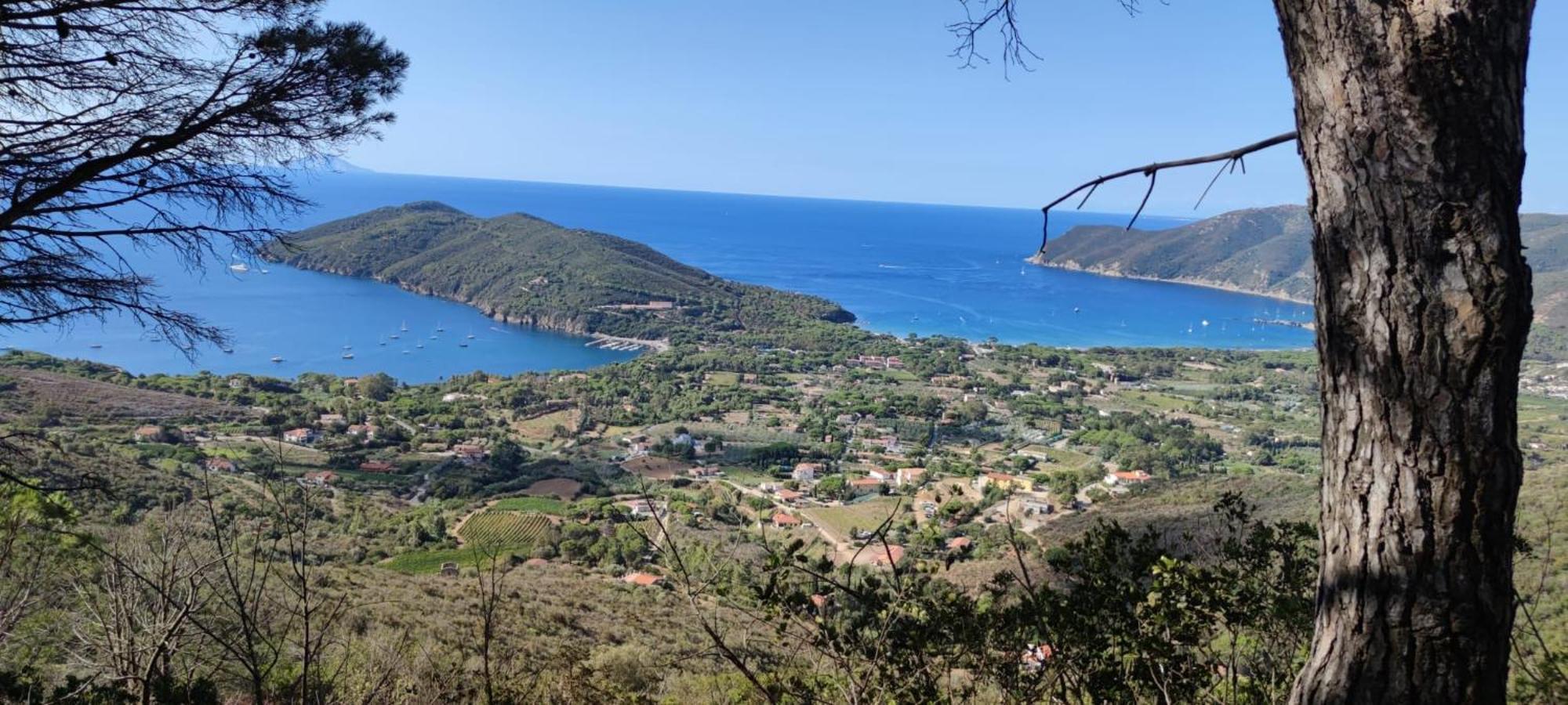 Casa Vacanze Il Pastore Tedesco Portoferraio Esterno foto