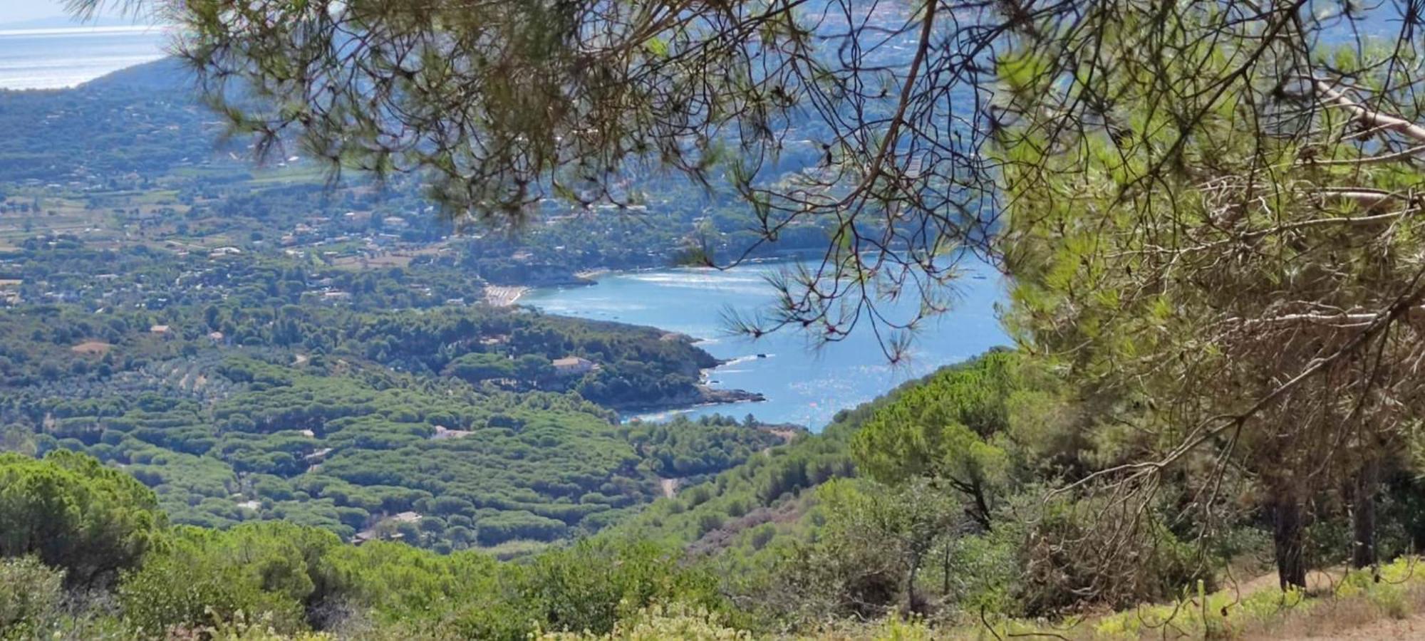 Casa Vacanze Il Pastore Tedesco Portoferraio Esterno foto