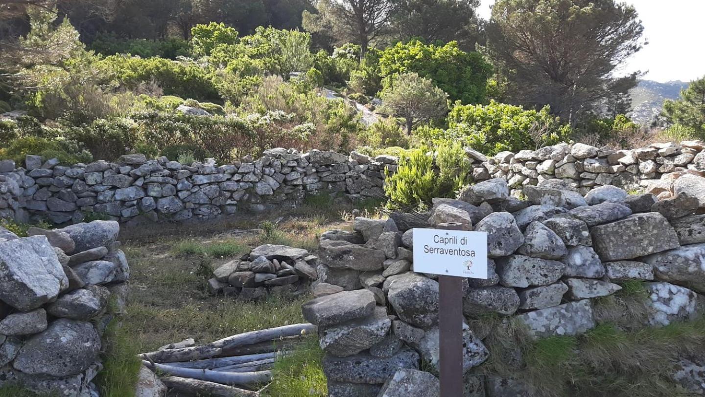 Casa Vacanze Il Pastore Tedesco Portoferraio Esterno foto